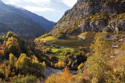 immagine valle di alta quota