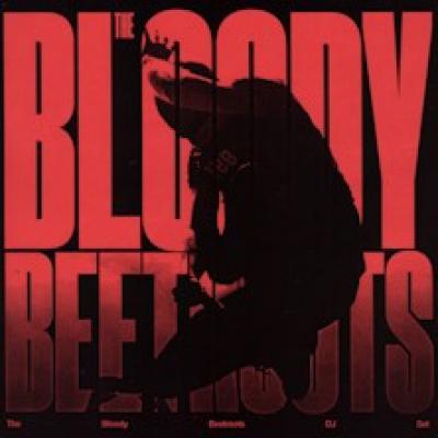 The Bloody Beetroots Dj Set