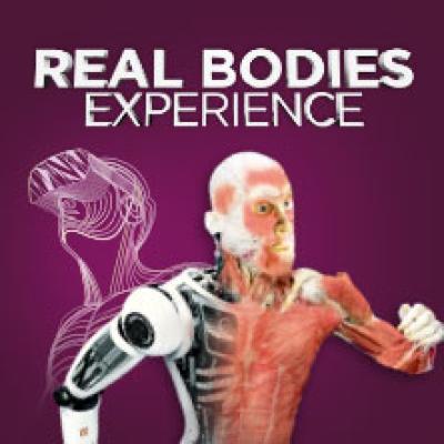 Real Bodies Experience