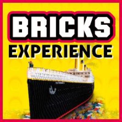 Bricks Experience
