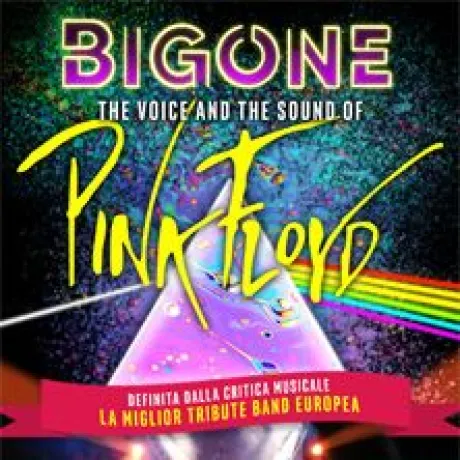 Big One - Voice and Sound of Pink Floyd
