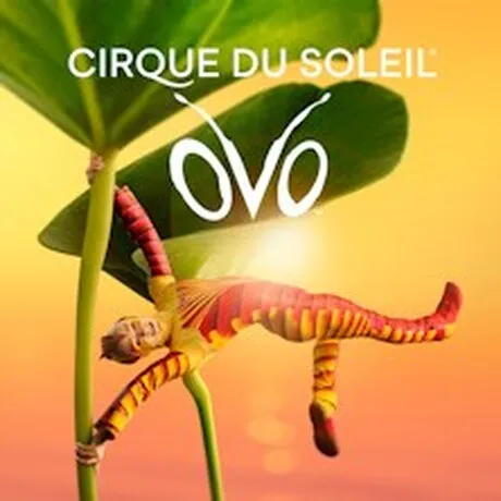 OVO Cirque du Soleil