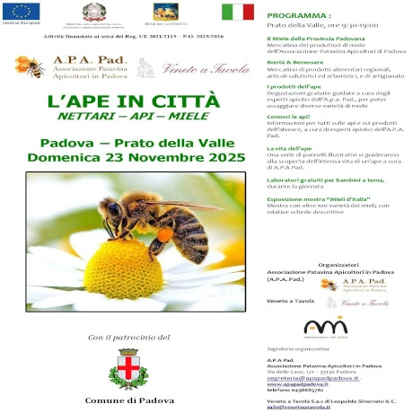 locandina ape in città  2025 locandina ape in città  2025