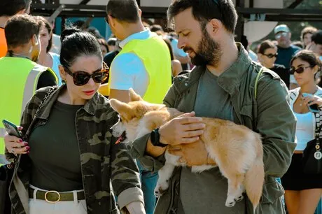 East Market  Pet market