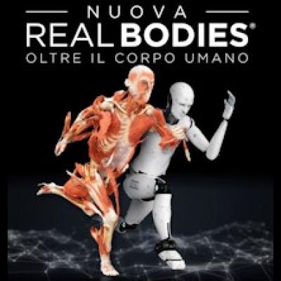 Real Bodies, olcre il corpo umano, locandina