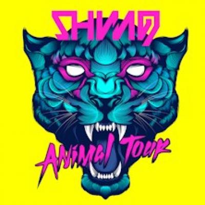 Shining, cover Animal tour Shining, cover Animal tour