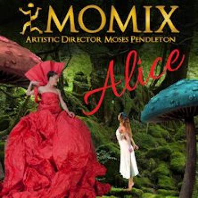 Momix - Alice