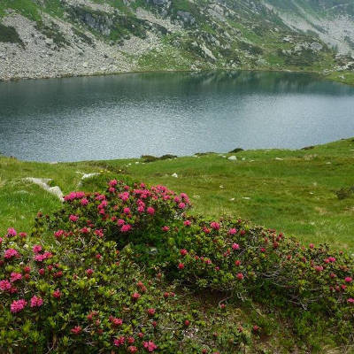 Laghi a Passo di Porcile Laghi a Passo di Porcile