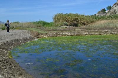 Laghetto Di Torrefumo